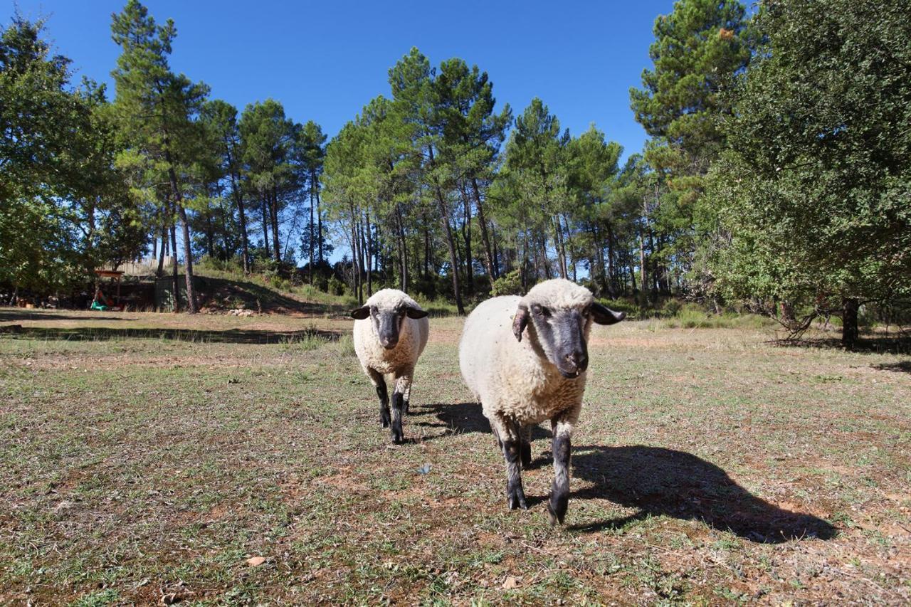 ホテル Domaine Les Petites Vaines グルト エクステリア 写真